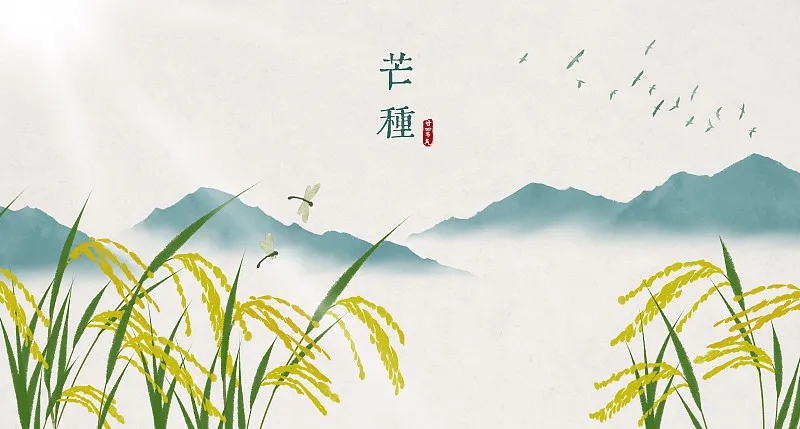 德元升提醒丨芒种时节，铁打的心脏也要认真养护！四个简单方法，做起来