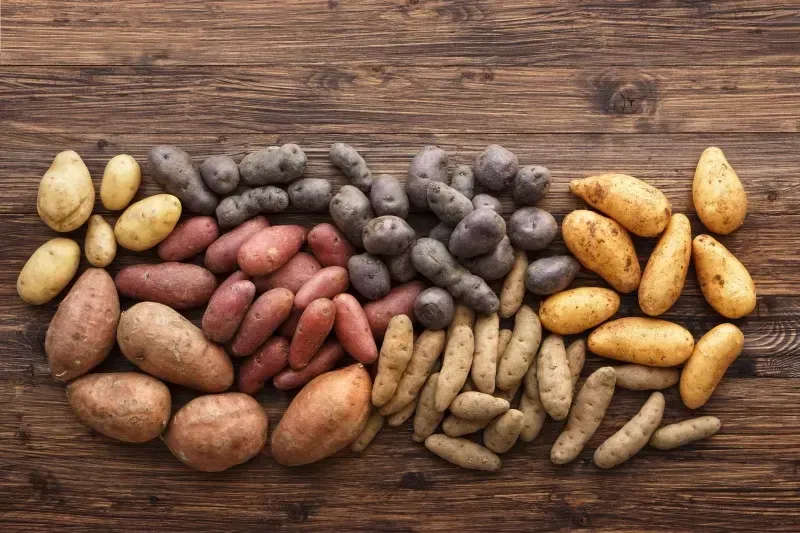 德元升提醒丨薯类，饮食界的低调“扛把子”！这些“薯”于你的养生妙方，千万别错过